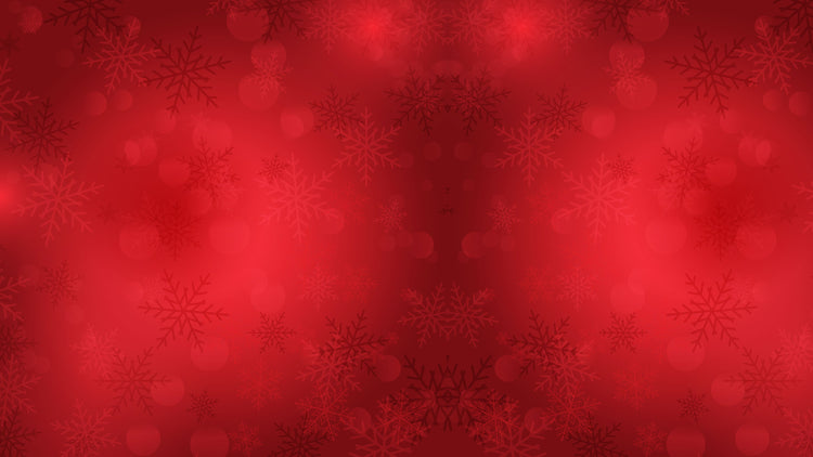 HOLIDAY COUPON DEALS